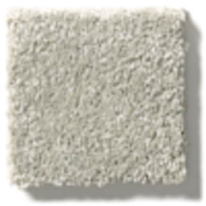 Shaw Jackson Heights Infinity Texture Carpet with Pet Perfect Plus-Sample